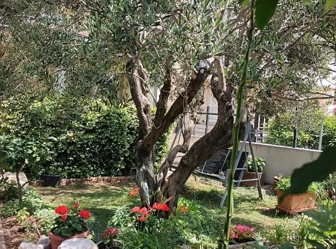 3743-4 Pers In Ferienhaus *